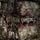 Artikelbild von Carnage Euphoria