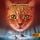 Artikelbild von Warrior Cats - Zeichen der Sterne. Stimmen der Nacht