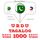 Artikelbild von 1000 essential words in Tagalog