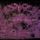 Artikelbild von Mazzy Star: So Tonight That I Might See