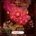 Artikelbild von Cards of Love 2. Der Zauber der Welt