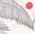 Artikelbild von Angels & Devils