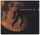 Artikelbild von Steaming Satellites