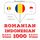 Artikelbild von Rom&acirc;nă - indoneziană: 1000 de cuvinte de bază