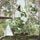 Artikelbild von Clean Bandit: New Eyes (New Edition)
