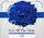 Artikelbild von Roses of the classics-Violin