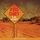 Artikelbild von Red Dirt