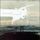 Artikelbild von Let The Wind Erase Me