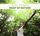 Artikelbild von Music Therapy-Drop Of Nature