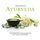 Artikelbild von Ayurveda