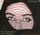 Artikelbild von Scheherazade.2