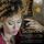 Artikelbild von Suites For Viola Da Gamba