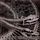 Artikelbild von Absence, T: Enemy Unbound