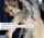 Artikelbild von Madrigals,Book 8
