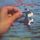 Artikelbild von Presents The Loch Ness Monster