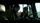 thumbnail-11