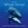 Artikelbild von Whale Songs