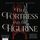 Artikelbild von The Fortress and the Figurine