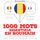 Artikelbild von 1000 mots essentiels en roumain