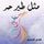 Artikelbild von مثل طير حر