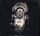 Artikelbild von Fury Nocturnus
