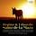 Artikelbild von Sainz De La Maza:Complete Music For Guitar