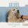 Artikelbild von Arthur