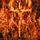 Artikelbild von Immolation: Close to a World Below