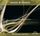 Artikelbild von Perpetual Motion