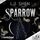 Artikelbild von Sparrow