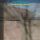 Artikelbild von Heartbeat-Shake