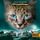 Artikelbild von Warrior Cats - Zeichen der Sterne. Spur des Mondes