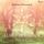 Artikelbild von Guided Meditation &ndash; Time Out