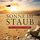Artikelbild von Sonne im Staub