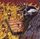 Artikelbild von Infernaeon: Symphony Of Suffering