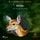 Artikelbild von B. J. Harrison Reads Bambi