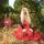 Artikelbild von Pomegranate - The Chant Of The Elementals (Gold Vi