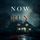 Artikelbild von Now Run (A Brynn Justice FBI Suspense Thriller&mdash;Book One)