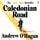 Artikelbild von Caledonian Road