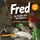 Artikelbild von Fred im Reich der Nofretete