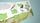 thumbnail-7