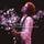 Artikelbild von The Complete Budokan 1978