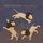 Artikelbild von Lion Dance