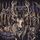 Artikelbild von Scorched Earth (Digipak)