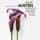 Artikelbild von Dos tardes con Jane Austen