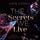 Artikelbild von Brouwen Dynasty 2: The Secrets We Live