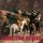 Artikelbild von The Prisoner of the Caucasus