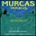 Artikelbild von Murcas Muracus - Nordwest