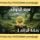 Artikelbild von The Fellowship of the Ring