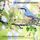 Artikelbild von Calming Nature Sounds (without music) for Deep Sleep, Meditation, Relaxation